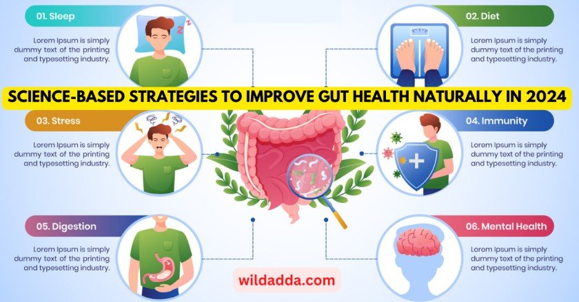 Science-Based Strategies to Improve Gut Health Naturally in 2024