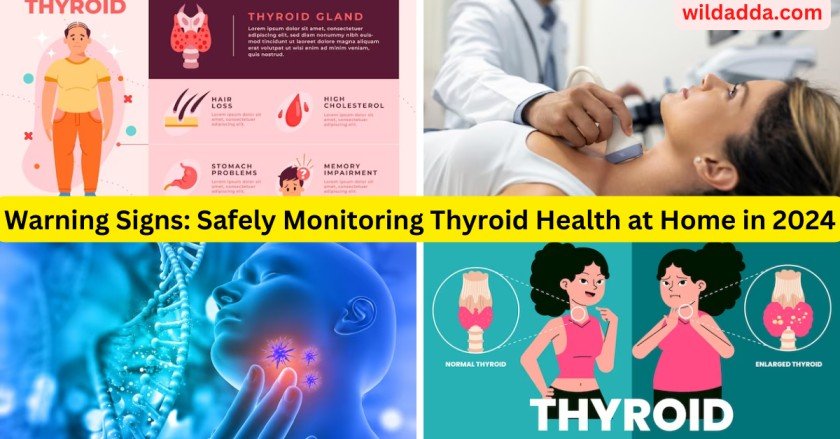 Warning Signs: Safely Monitoring Thyroid Health at Home in 2024